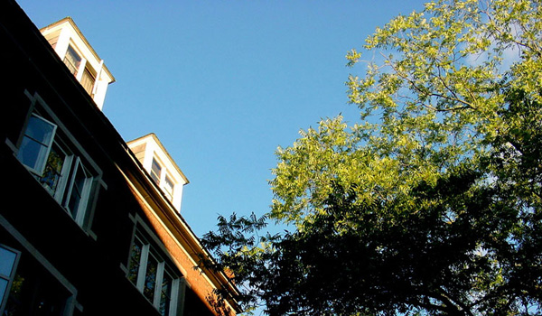Denizens of Risley Hall